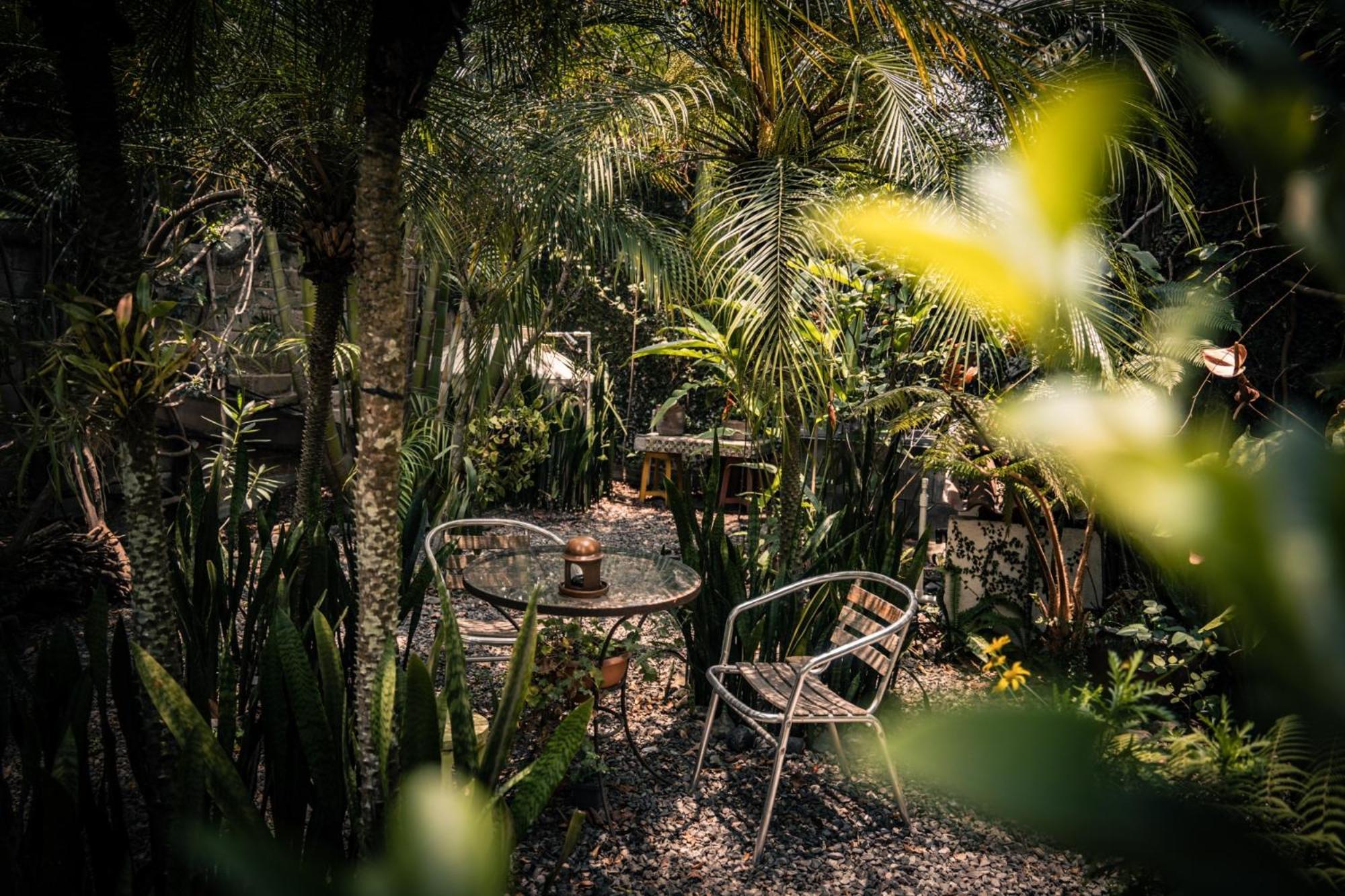 Baraka Antigua Villa Eksteriør billede